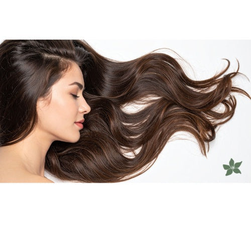 HAIR CARE & ACCESSORIES