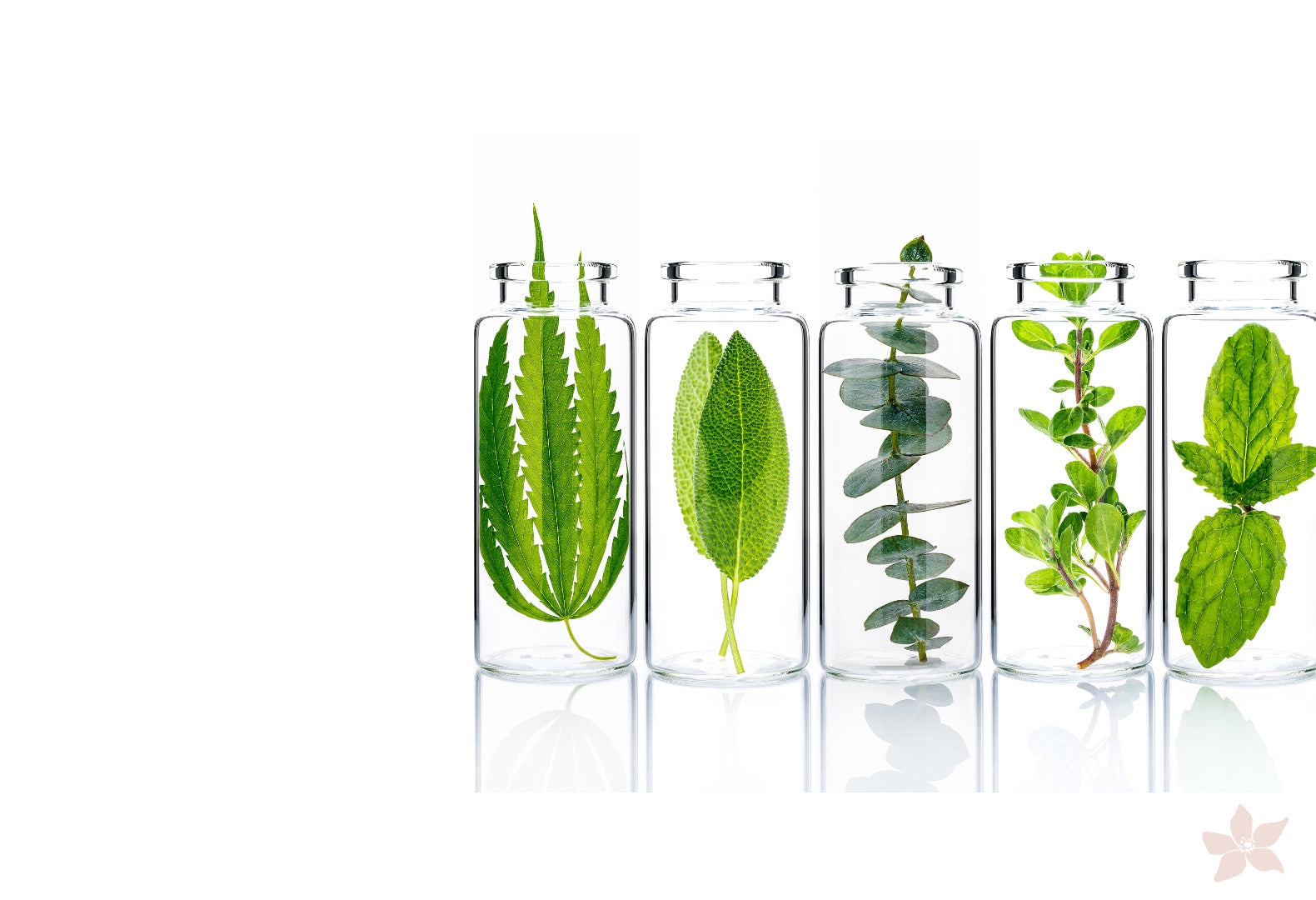 BOTANICAL SKINCARE