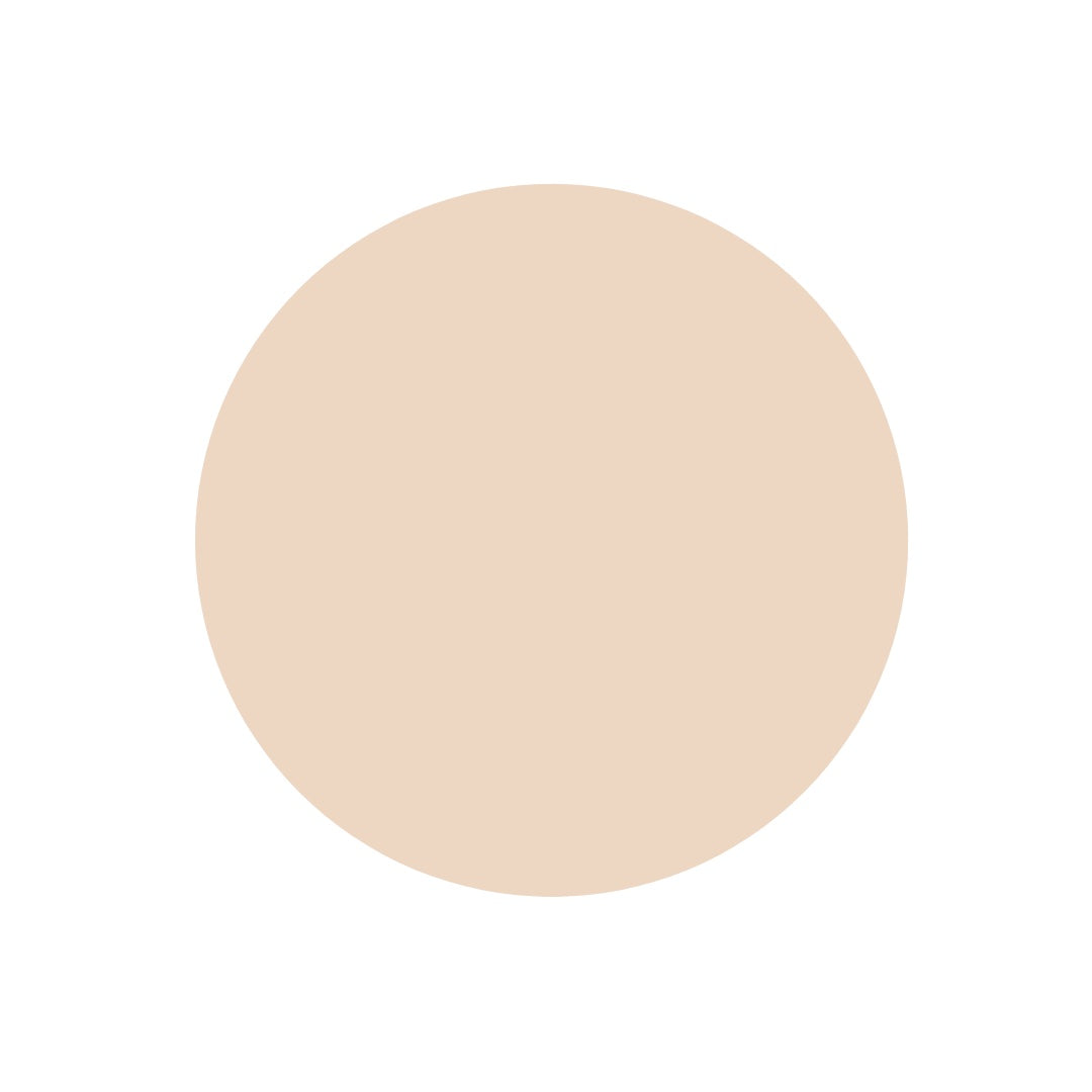 Protect and Correct Concealer SPF 35